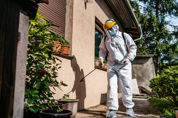 Best Flea Control Services  in Mazon, IL
