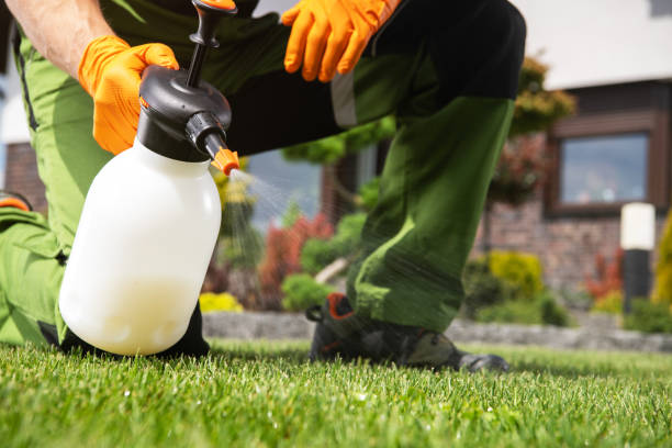 Best Pest Control Near Me in Mazon, IL