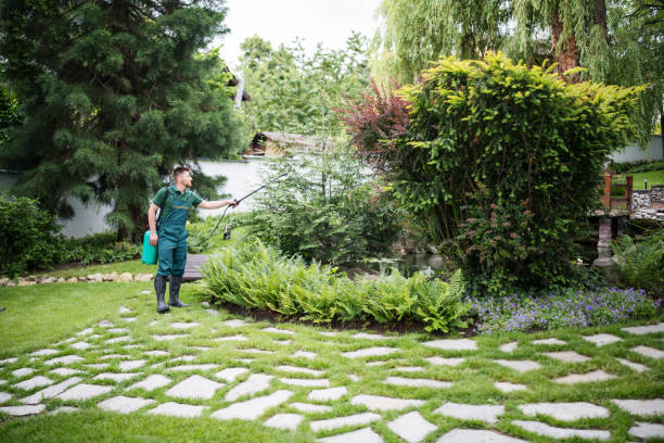 Best Best Pest Control Companies  in Mazon, IL