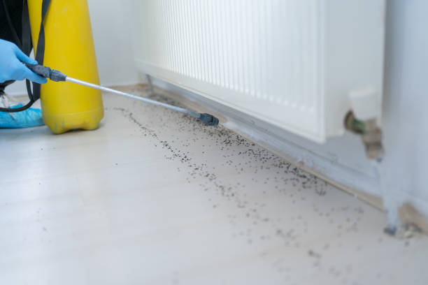 Best Pest Inspection Near Me  in Mazon, IL