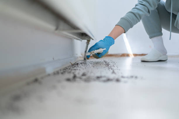 Best Pest Control for Restaurants  in Mazon, IL